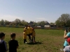 img-9ed0b2acf91fa3567d1aca4864d85c35-v
