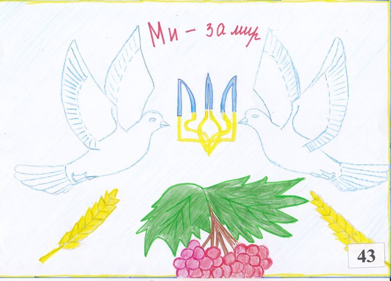 43