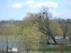 dsc02961_thumb
